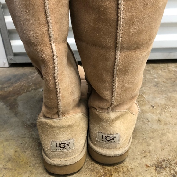 Tall Ugg boots (size 11). - Picture 1 of 3